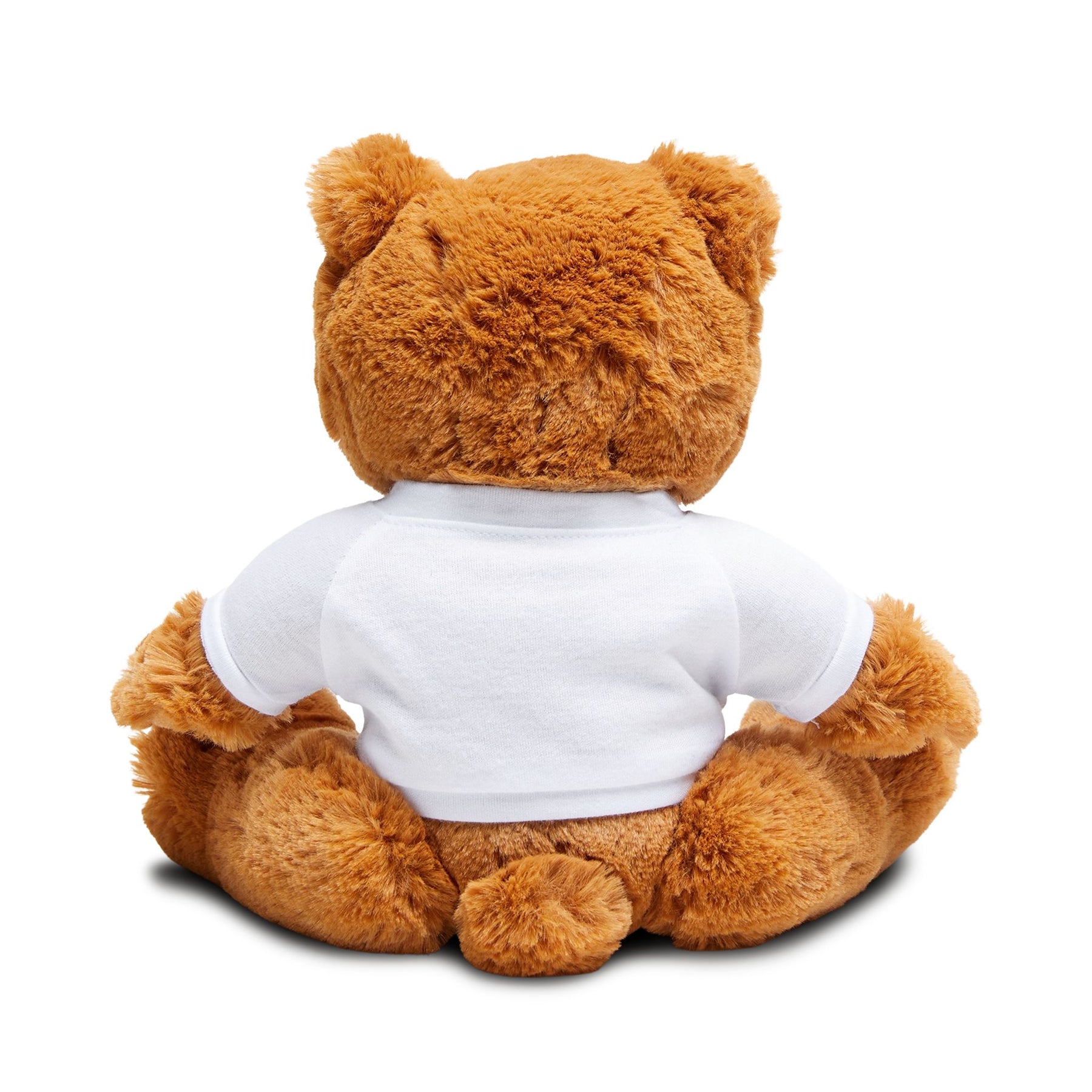 Shriners Teddy Bear - Future Noble of the Mystic Shrine Plushie - Bricks Masons